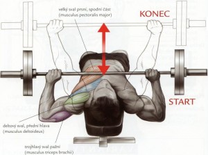 benchpress-dole-hlavou.jpg