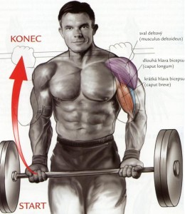 bicepsovy-zdvih-s-velkou-cinkou.jpg