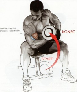 koncentrovany-bicepsovy-zdvih.jpg